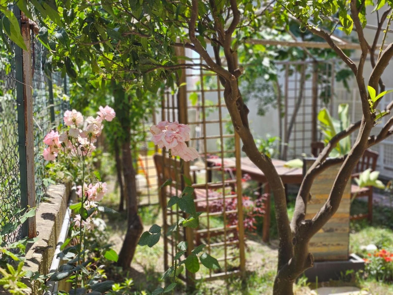 Prestige Casa Vacanze Catanzaro Zewnętrze zdjęcie